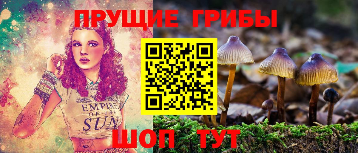 ГАШ  Бошки Шишки  КОКАИН  Кетамин  Лсд 25  Вход с VPN  Экстази  Сланцы  Меф МЯУ МЯУ  