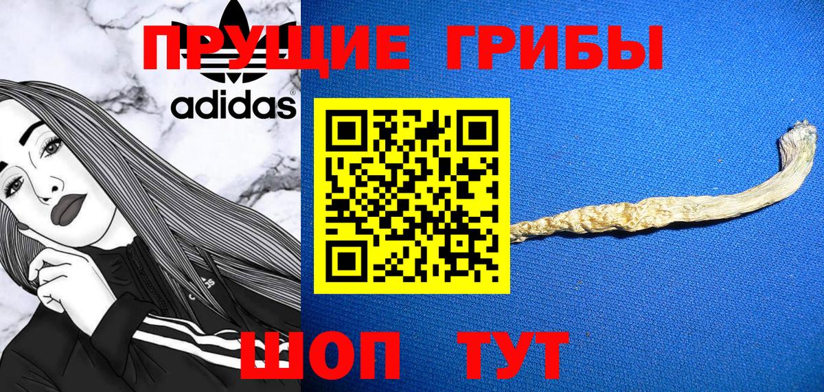 Сланцы  Галлюциногенные грибы мухоморы  Вход с VPN 